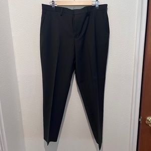 Express Performance Dress Pants